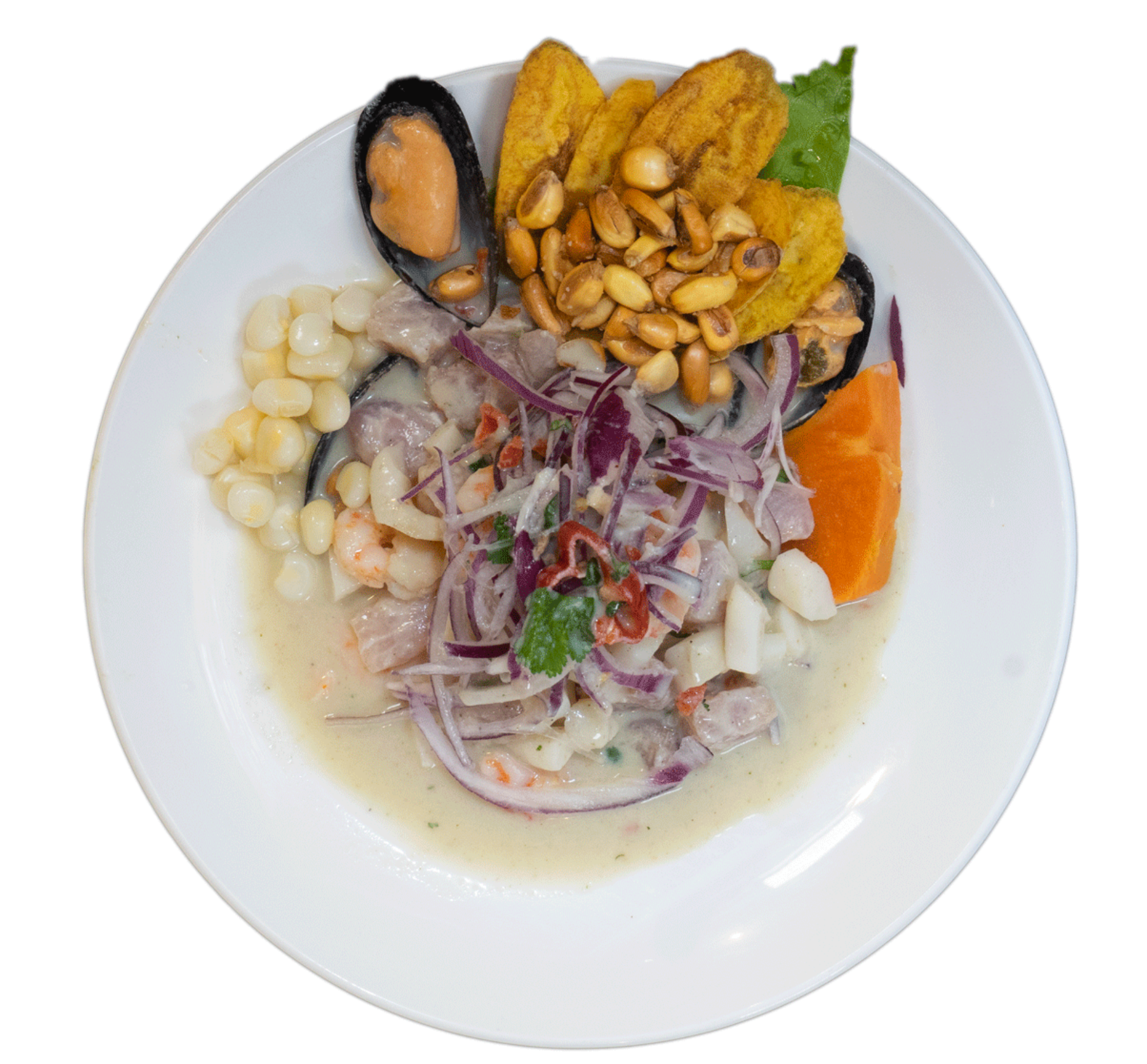 ceviche-mixto-peruano