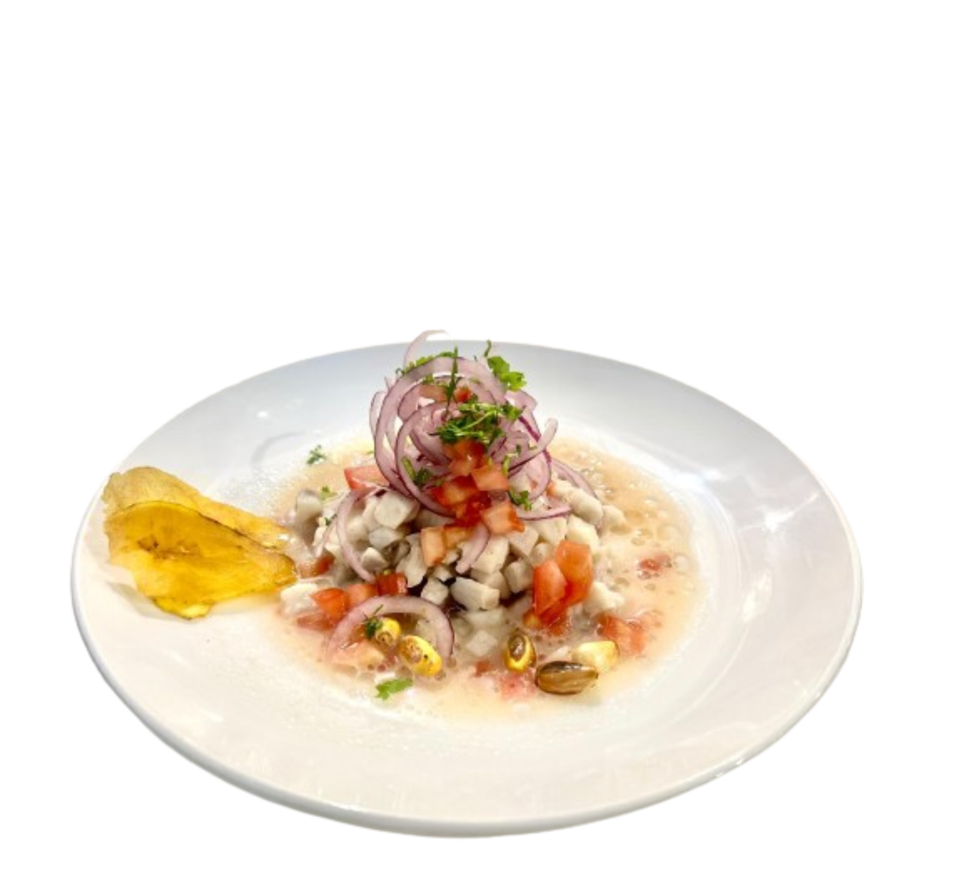 ceviche-pescado-ecuador